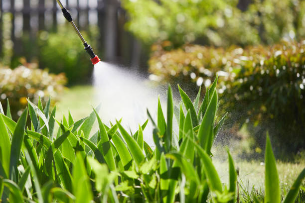 24/7 Emergency Wasp Removal experts in North Pembroke, MA